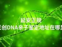 延安正规无创DNA亲子鉴定地址在哪里
