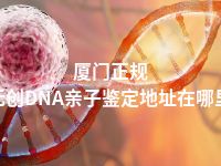 厦门正规无创DNA亲子鉴定地址在哪里