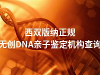 西双版纳正规无创DNA亲子鉴定机构查询