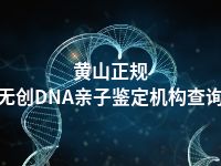 黄山正规无创DNA亲子鉴定机构查询