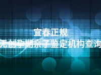 宜春正规无创孕期亲子鉴定机构查询