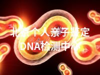 北京个人亲子鉴定DNA检测中心