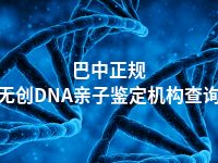 巴中正规无创DNA亲子鉴定机构查询