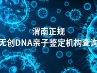 渭南正规无创DNA亲子鉴定机构查询