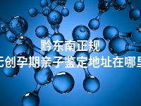 黔东南正规无创孕期亲子鉴定地址在哪里