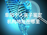 阜阳个人亲子鉴定机构地址在哪里