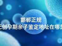 邯郸正规无创孕期亲子鉴定地址在哪里