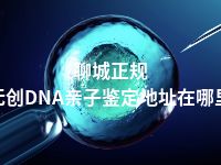 聊城正规无创DNA亲子鉴定地址在哪里