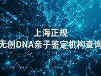 上海正规无创DNA亲子鉴定机构查询