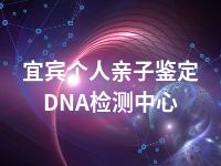 宜宾个人亲子鉴定DNA检测中心