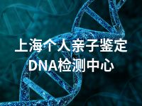 上海个人亲子鉴定DNA检测中心