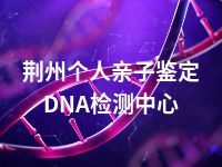 荆州个人亲子鉴定DNA检测中心
