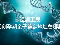 辽源正规无创孕期亲子鉴定地址在哪里