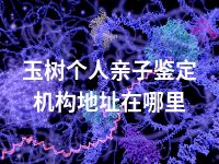 玉树个人亲子鉴定机构地址在哪里