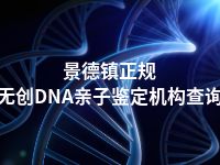 景德镇正规无创DNA亲子鉴定机构查询