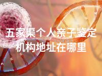 五家渠个人亲子鉴定机构地址在哪里