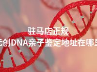 驻马店正规无创DNA亲子鉴定地址在哪里