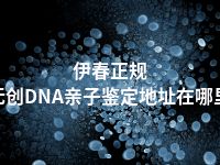 伊春正规无创DNA亲子鉴定地址在哪里