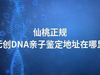 仙桃正规无创DNA亲子鉴定地址在哪里