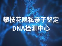 攀枝花隐私亲子鉴定DNA检测中心
