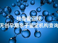 吐鲁番正规无创孕期亲子鉴定机构查询