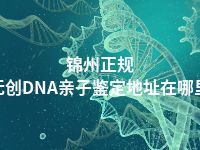 锦州正规无创DNA亲子鉴定地址在哪里