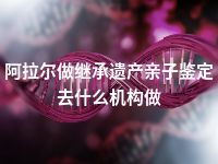 阿拉尔做继承遗产亲子鉴定去什么机构做