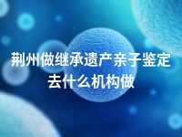 荆州做继承遗产亲子鉴定去什么机构做
