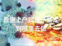 恩施上户口亲子鉴定到哪里去做