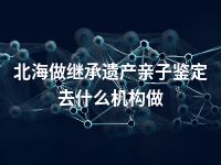 北海做继承遗产亲子鉴定去什么机构做