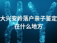 大兴安岭落户亲子鉴定在什么地方