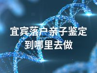 宜宾落户亲子鉴定到哪里去做