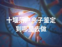 十堰落户亲子鉴定到哪里去做