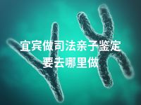 宜宾做司法亲子鉴定要去哪里做
