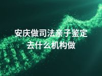 安庆做司法亲子鉴定去什么机构做