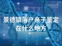 景德镇落户亲子鉴定在什么地方