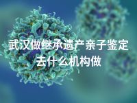 武汉做继承遗产亲子鉴定去什么机构做