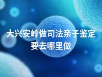 大兴安岭做司法亲子鉴定要去哪里做