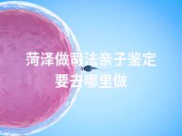 菏泽做司法亲子鉴定要去哪里做