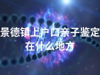 景德镇上户口亲子鉴定在什么地方