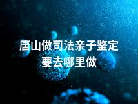 唐山做司法亲子鉴定要去哪里做
