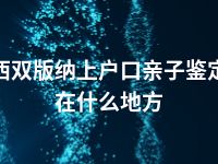 西双版纳上户口亲子鉴定在什么地方