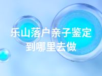 乐山落户亲子鉴定到哪里去做