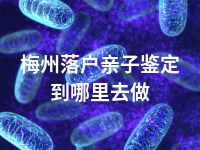 梅州落户亲子鉴定到哪里去做