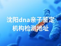 沈阳dna亲子鉴定机构检测地址