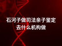 石河子做司法亲子鉴定去什么机构做