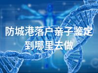 防城港落户亲子鉴定到哪里去做