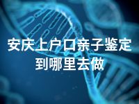 安庆上户口亲子鉴定到哪里去做