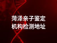 菏泽亲子鉴定机构检测地址