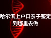 哈尔滨上户口亲子鉴定到哪里去做